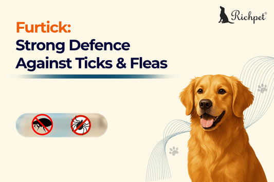 Furtick:The 12-Week Chewable Shield Against India's Tick & Flea Threat - Richpet Store