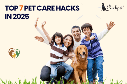 The 7 Game-Changing Pet Care Trends Shaping India in 2025 - Richpet Store