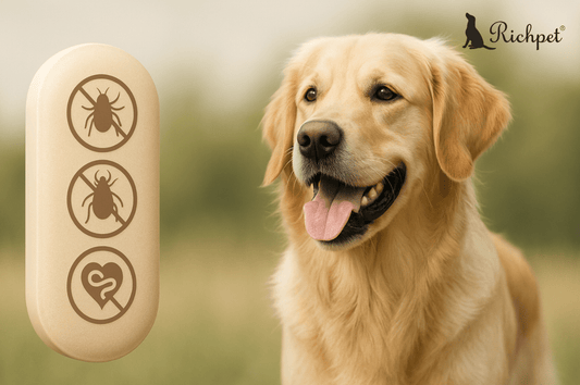 The All-in-One: How Oral Chewable Tablet Offer Protection for Your Dog - Richpet Store