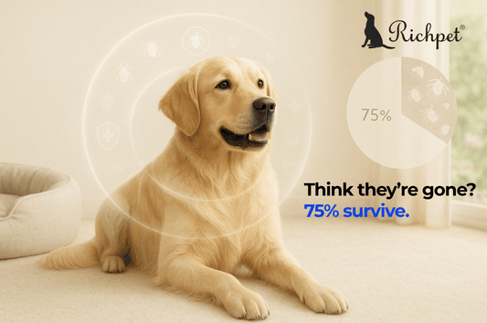 The Top 5 Flea & Tick Mistakes You're Making(And Vet-Backed Solutions) - Richpet Store