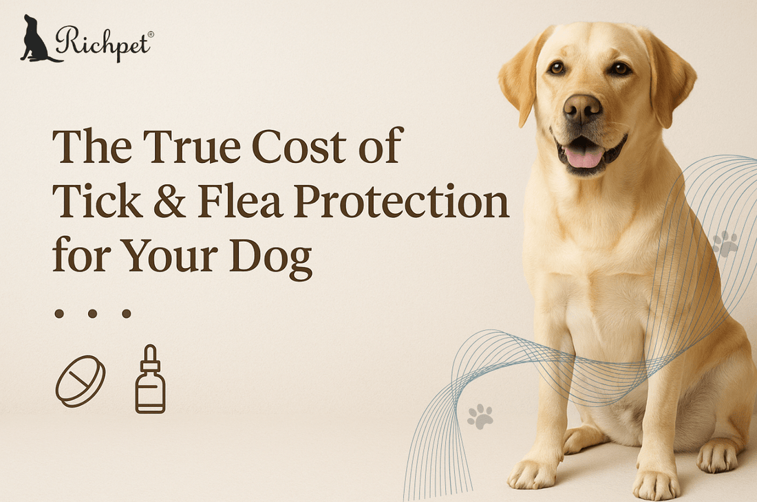 The True Cost of Protection: Is Your Dog's 12-Week Chew a Smarter Buy? - Richpet Store