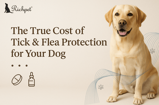 The True Cost of Protection: Is Your Dog's 12-Week Chew a Smarter Buy? - Richpet Store