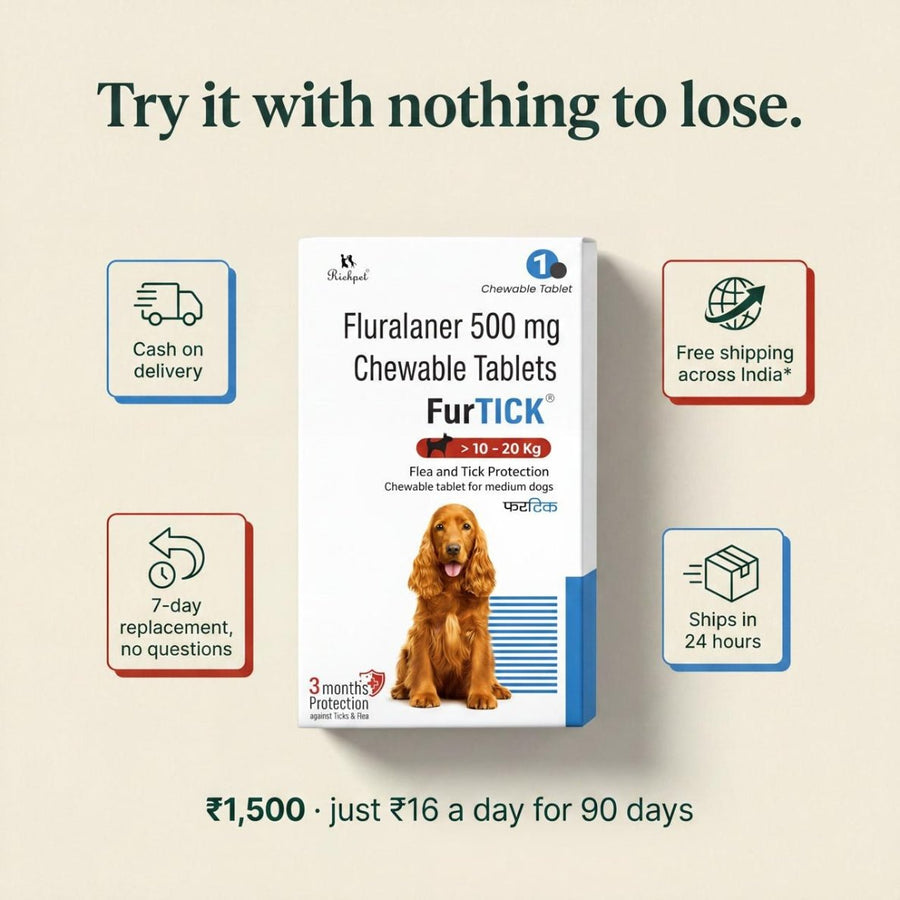 (10-20kg) 90-Day Tick & Flea Protection Chew - Richpet StoreRichpet Store