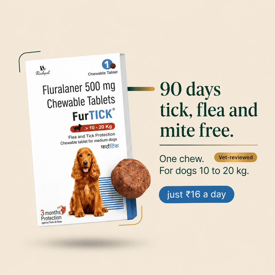 (10-20kg) 90-Day Tick & Flea Protection Chew - Richpet StoreRichpet Store