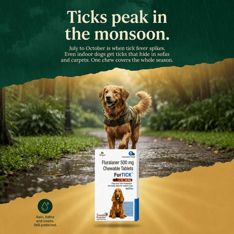 (10-20kg) 90-Day Tick & Flea Protection Chew - Richpet StoreRichpet Store