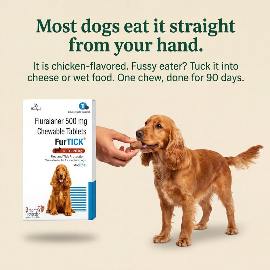 (10-20kg) 90-Day Tick & Flea Protection Chew - Richpet StoreRichpet Store