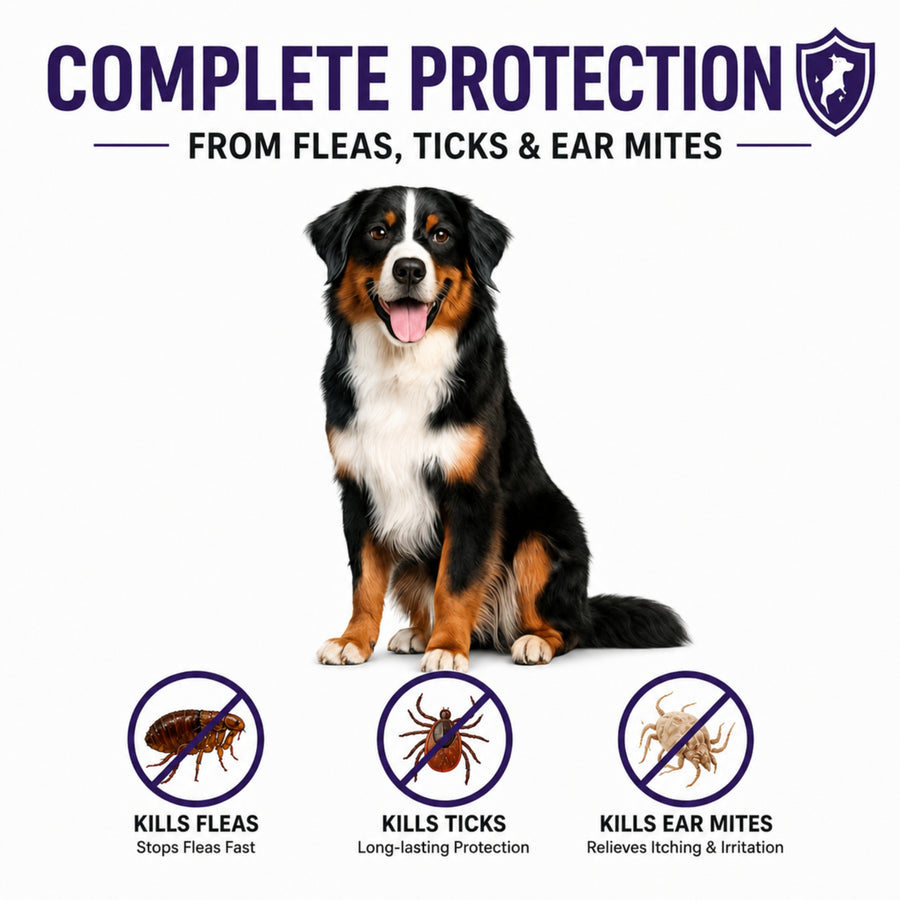 (40-56kg) 90-Day Tick & Flea Protection Chew