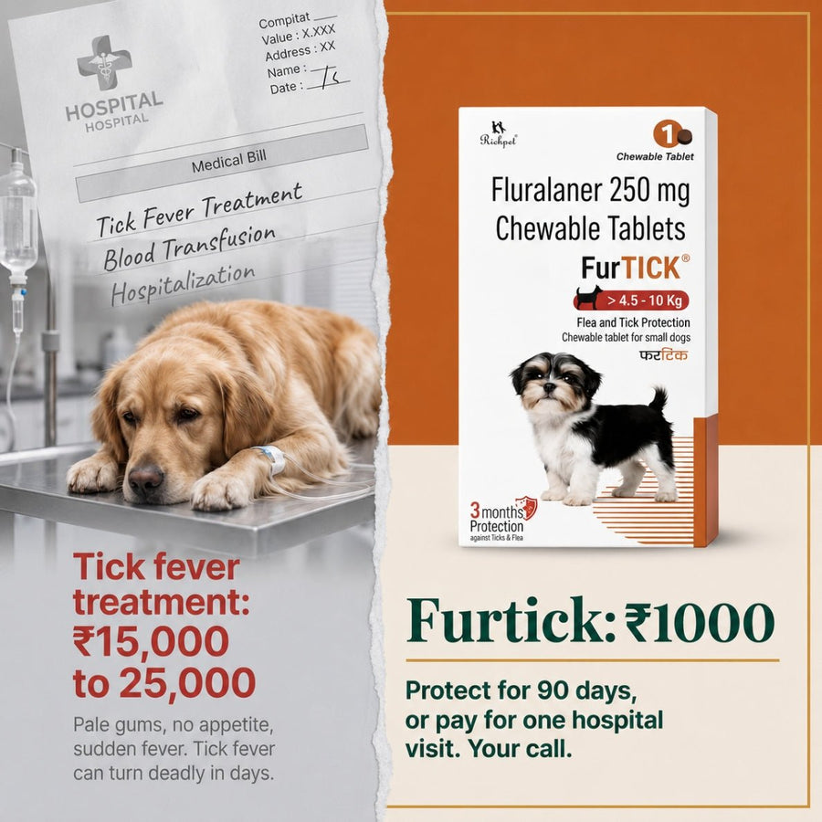 (4.5-10kg) 90-Day Tick & Flea Protection Chew - Richpet StoreRichpet Store