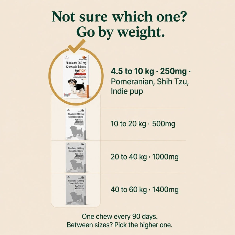 (4.5-10kg) 90-Day Tick & Flea Protection Chew - Richpet StoreRichpet Store