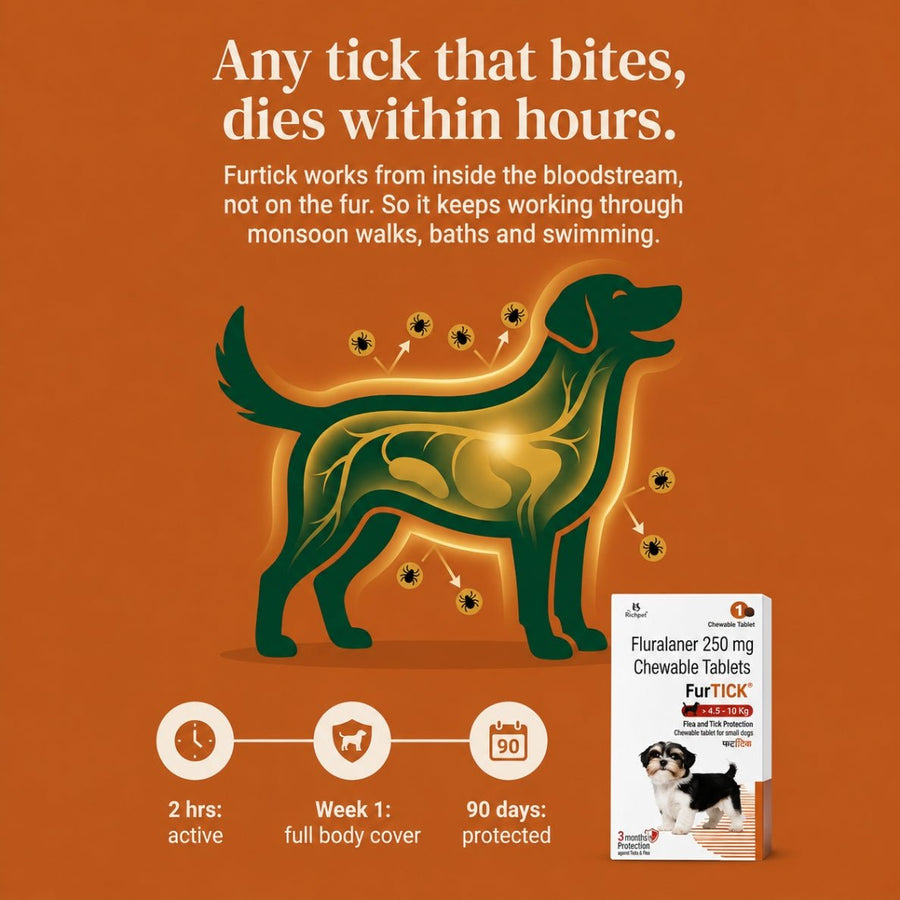 (4.5-10kg) 90-Day Tick & Flea Protection Chew - Richpet StoreRichpet Store