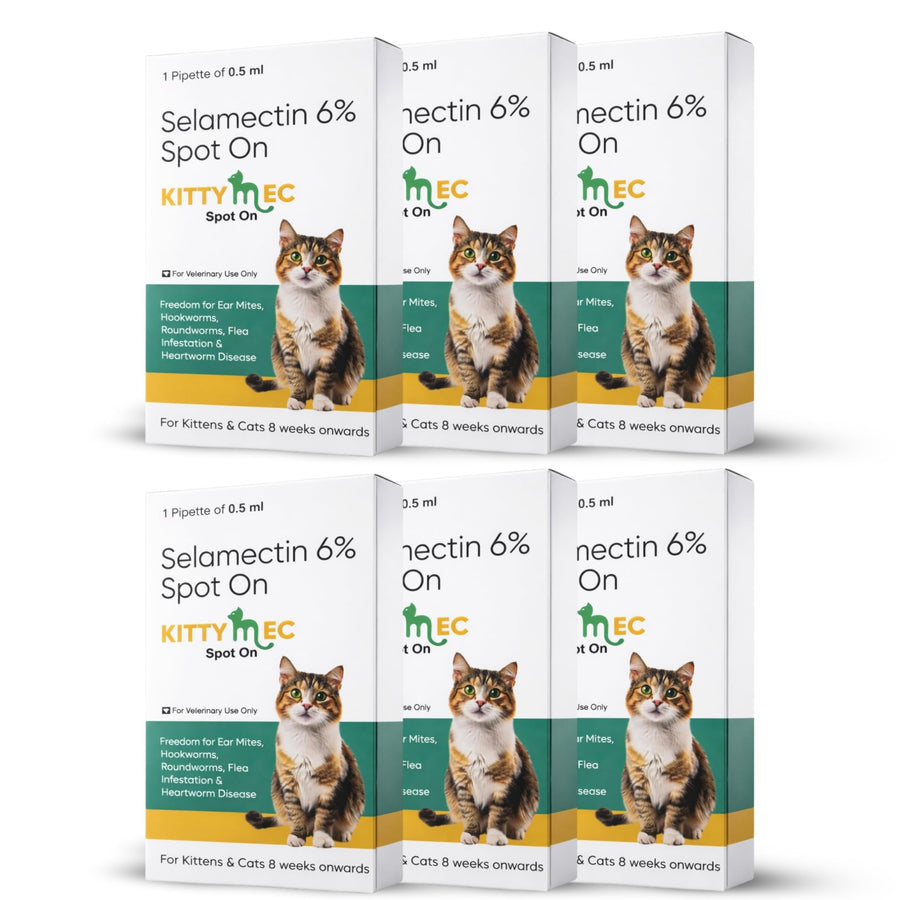 KittyMec Selamectin 6% Spot - On for Cats & Kittens | Advanced Flea & Tick Protection - Richpet StoreRichpet Store