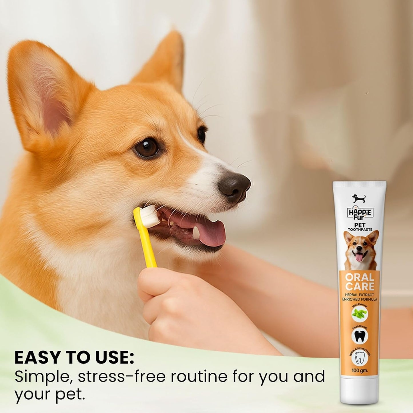 Mint Flavour Dog Toothpaste (100g) – Gently Removes Plaque & Tartar, Freshens Breath, and Supports Healthy Gums - Richpet StoreRichpet Store
