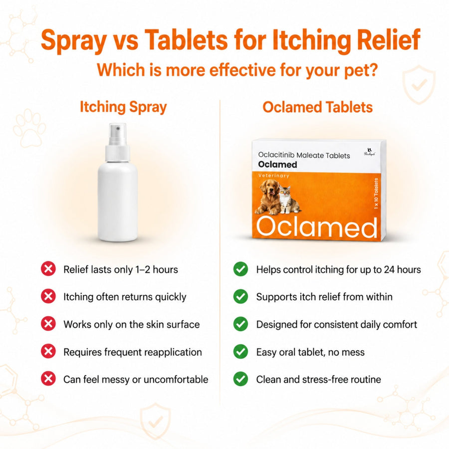 Oclamed™ Oclacitinib 5.4 mg — up to 11 kg - Richpet StoreRichpet Store