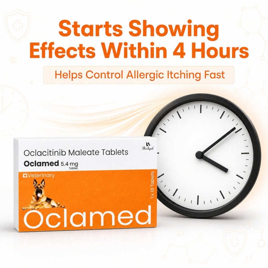Oclamed™ Oclacitinib 5.4 mg — up to 11 kg - Richpet StoreRichpet Store