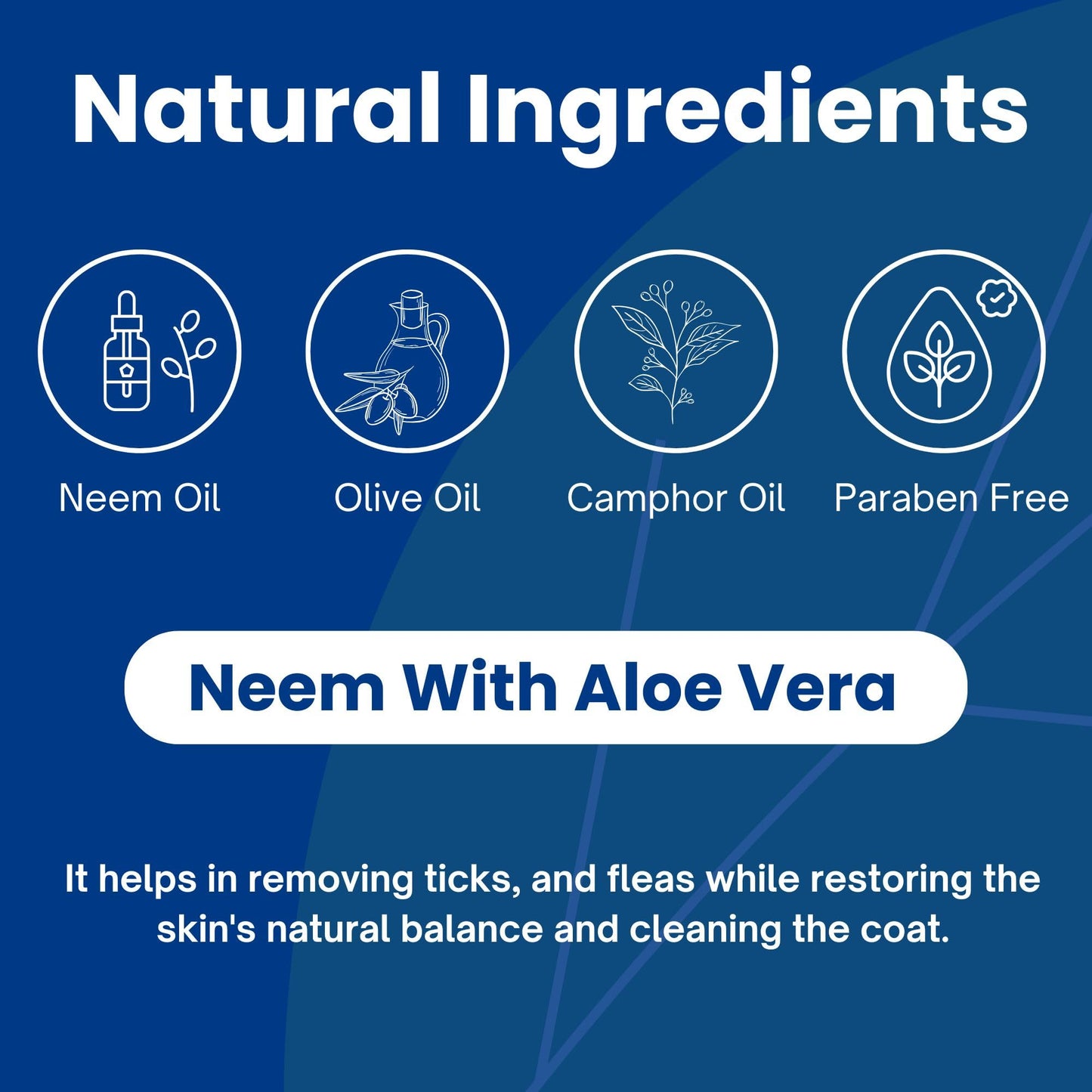 Richpet Anti Tick & Flea Pet Shampoo (300ml) — Natural Neem & Aloe Vera Formula | Optional Bath Brush Combo - Richpet StoreRichpet Store