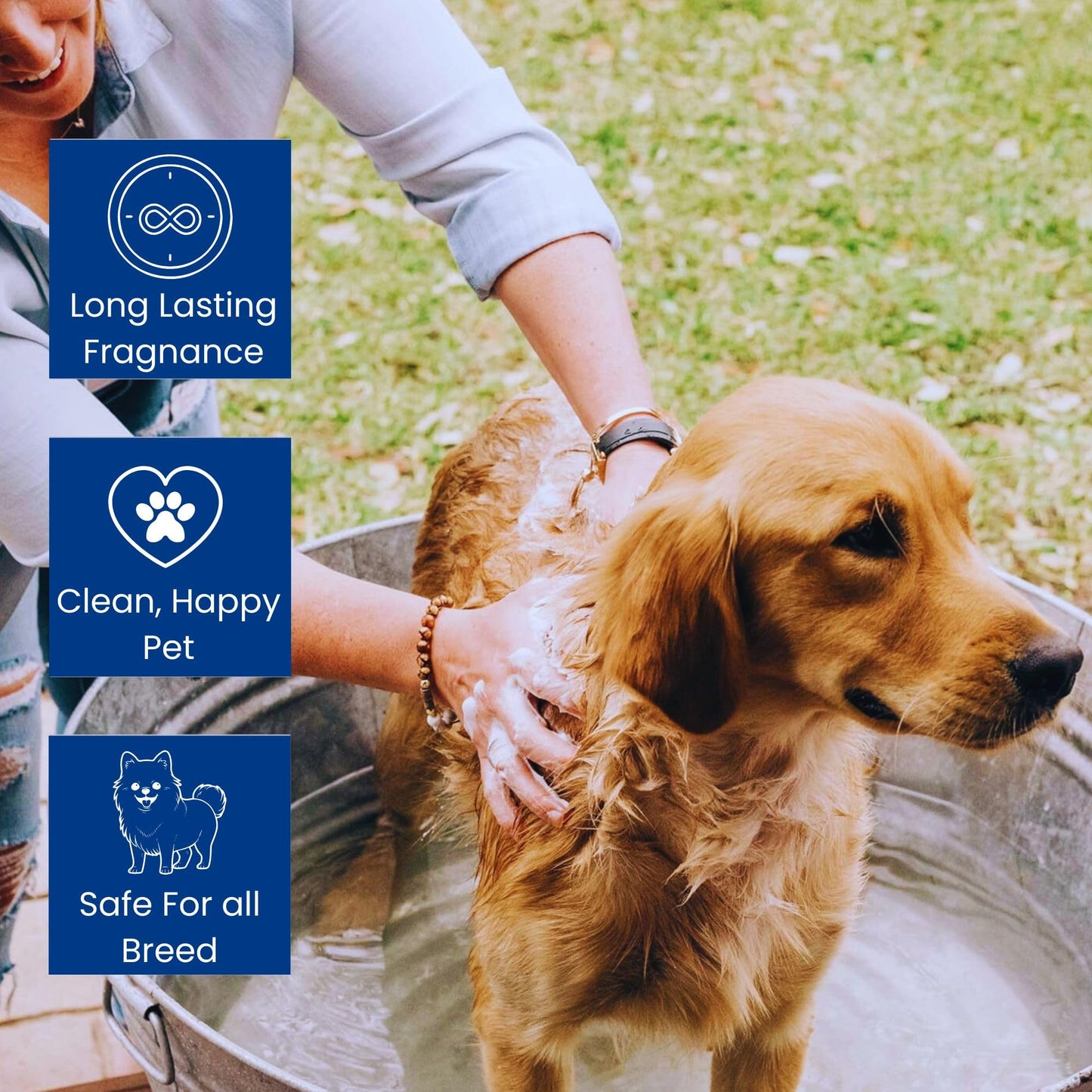 Richpet Anti Tick & Flea Pet Shampoo (300ml) — Natural Neem & Aloe Vera Formula | Optional Bath Brush Combo - Richpet StoreRichpet Store