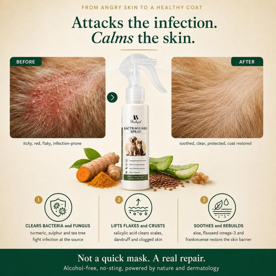 Richpet Bactraguard Antibacterial Skin Spray for Dogs & Cats | Green Apple Scent | Cleanses, Protects & Controls Odour (100ml) - Richpet StoreRichpet Store