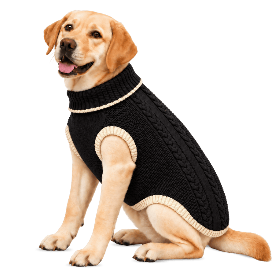 Richpet Cozy Knit Turtleneck Dog Sweater | Soft Stretchable Acrylic Winter Pullover | Machine Washable | Black - Richpet StoreRichpet Store