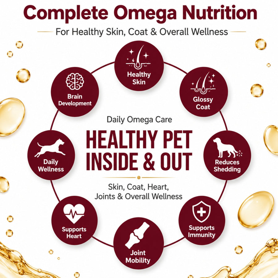 Richpet Fur Radiance Omega 3-6-9 Skin & Coat Oil for Dogs & Cats with EPA & DHA (220ml) - Richpet StoreRichpet Store