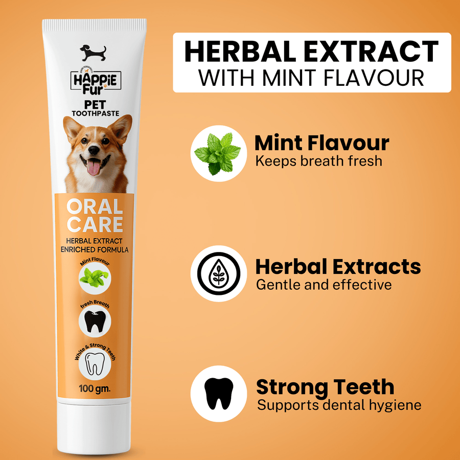 Richpet Herbal Pet Toothpaste for Dogs | Mint Flavour | Fights Bad Breath & Supports Clean, Strong Teeth | No Rinse Needed (100g) - Richpet StoreRichpet Store