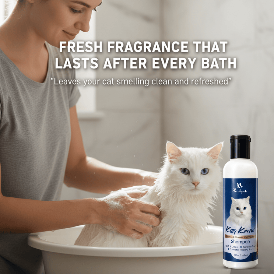 Richpet Kitty Karno Cat Shampoo | Tea Tree & Aloe Vera with Vitamin E | Removes Dryness & Itchiness for a Fresh, Clean Coat (300ml) - Richpet StoreRichpet Store