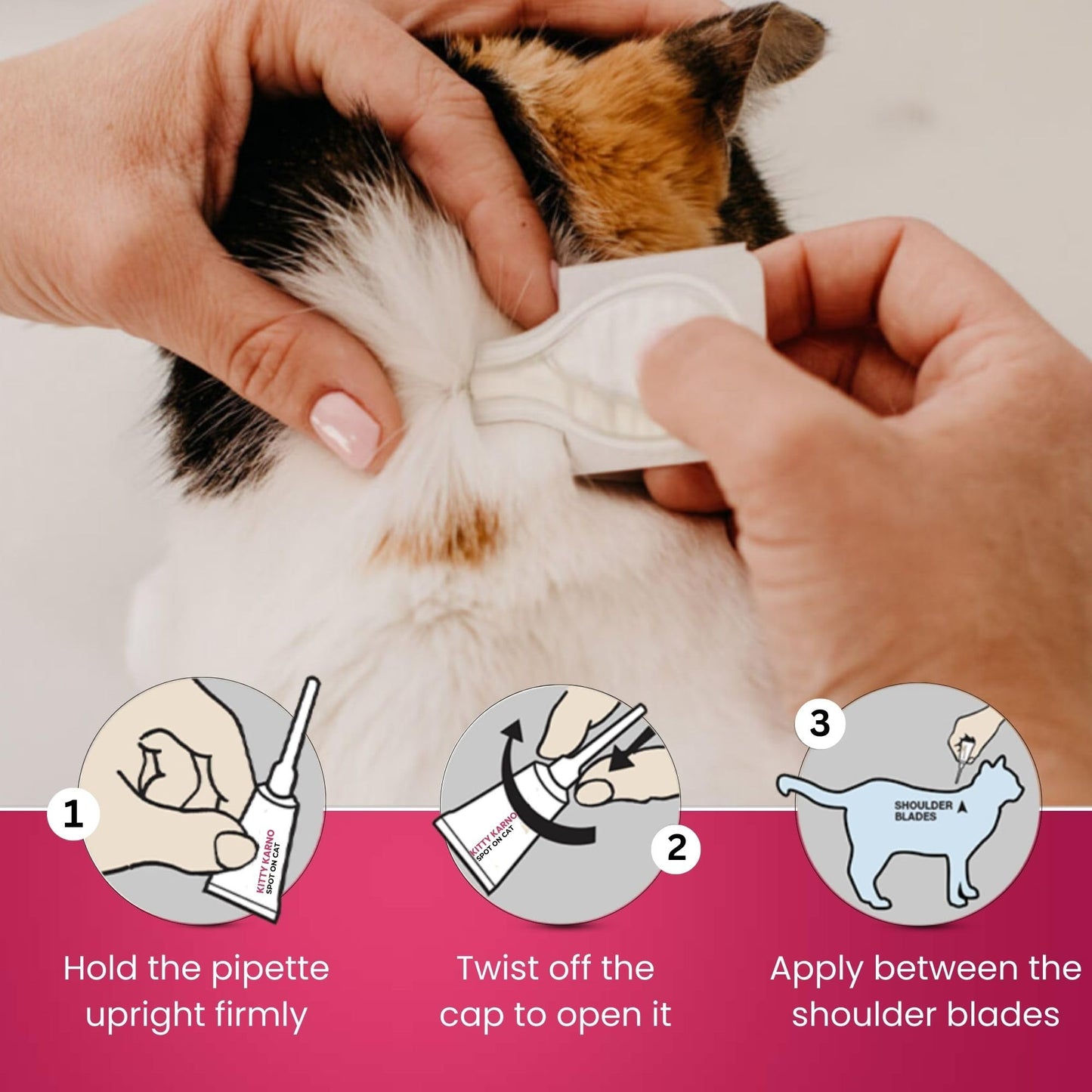 Richpet Kitty Karno's Flea And Tick Control - Effective Cat Flea Prevention - Richpet StoreRichpet Store