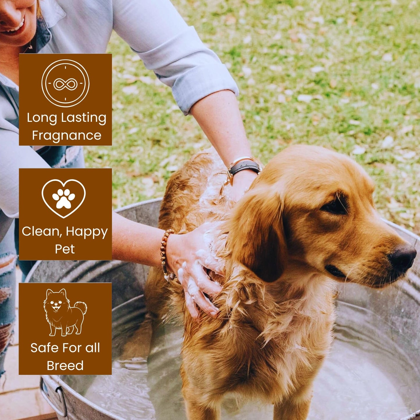 Richpet Short Coat Pet Shampoo (300ml + Bath Brush) — Gentle Cleansing for Smooth, Odour - Free Fur - Richpet StoreRichpet Store