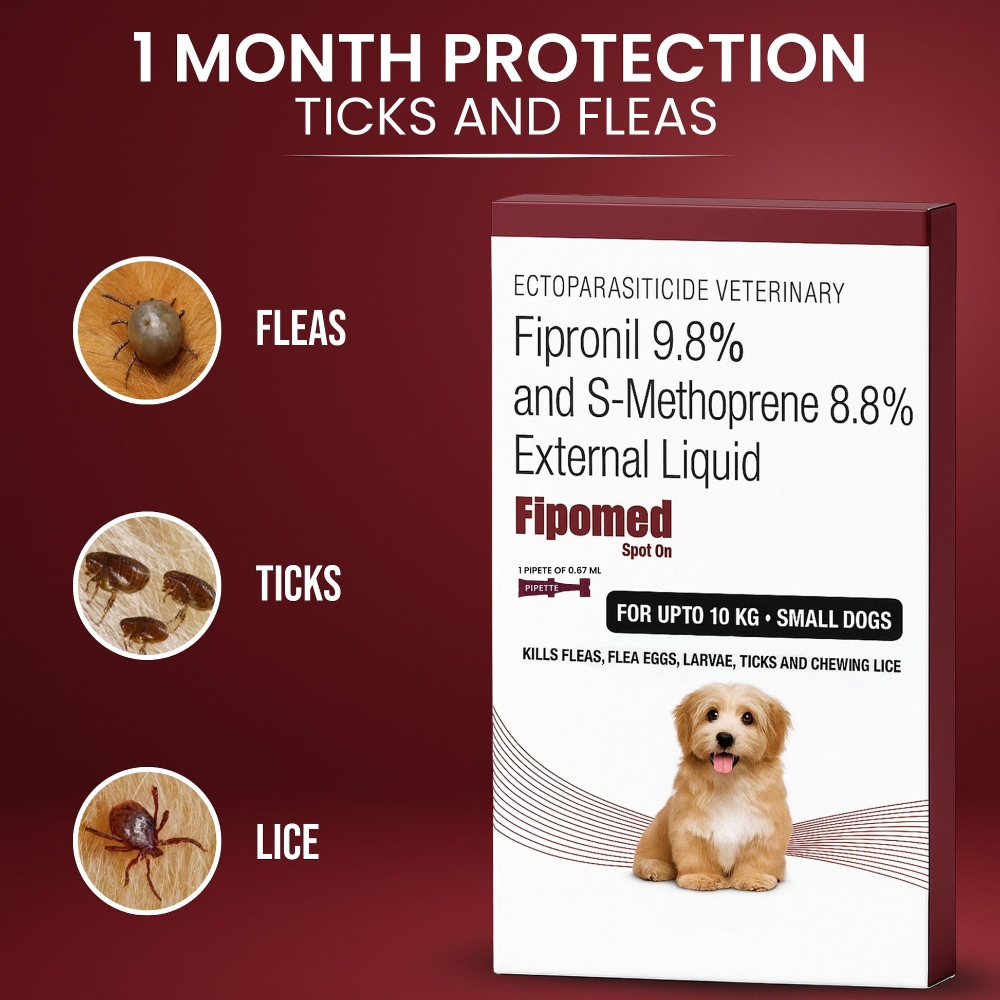 Richpet Spot On for Dogs (0 to 10kg), Topical Solution with Protection from Fleas, Ticks & Lice - Richpet StoreRichpet Store