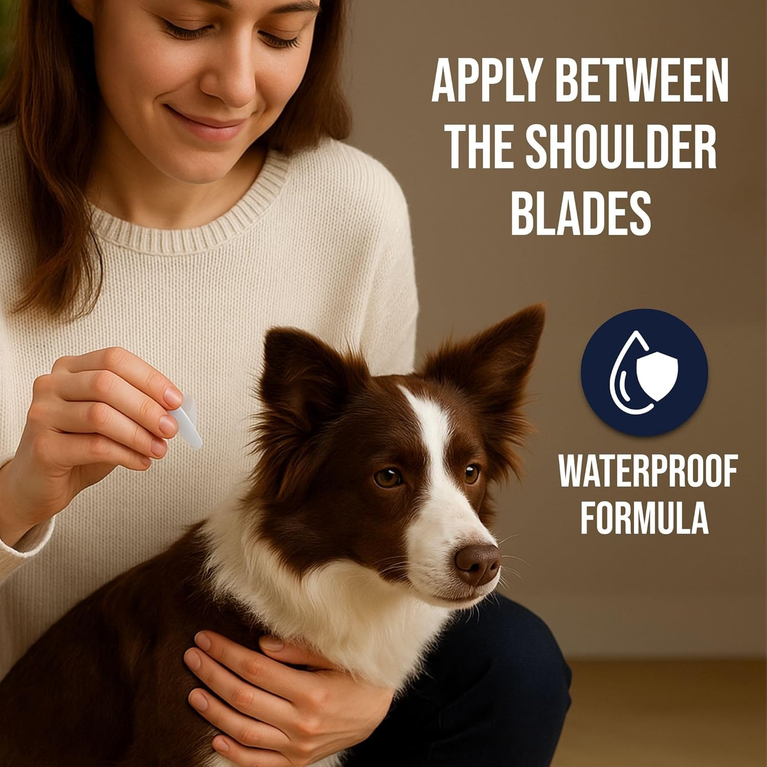 Richpet Spot On for Dogs (10 to 20kg), Topical Solution with Protection from Fleas, Ticks & Lice - Richpet StoreRichpet Store