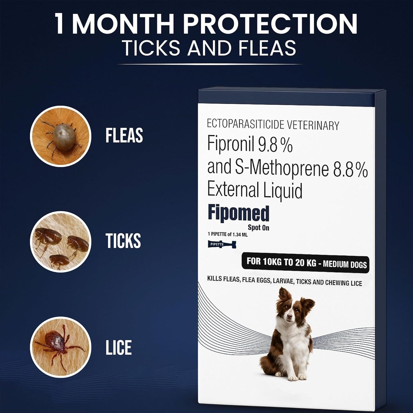 Richpet Spot On for Dogs (10 to 20kg), Topical Solution with Protection from Fleas, Ticks & Lice - Richpet StoreRichpet Store