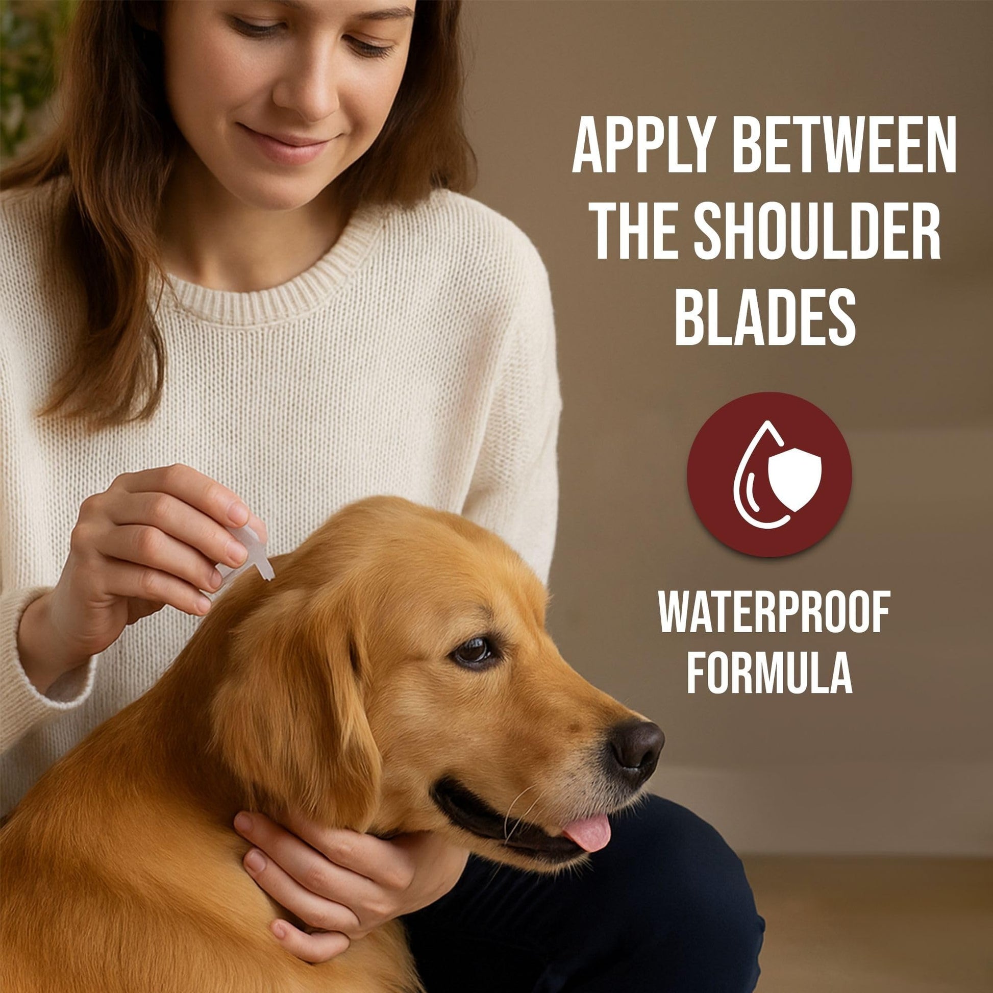 Richpet Spot On for Large Dogs (20 to 40kg), Topical Solution with Protection from Fleas, Ticks & Lice - Richpet StoreRichpet Store