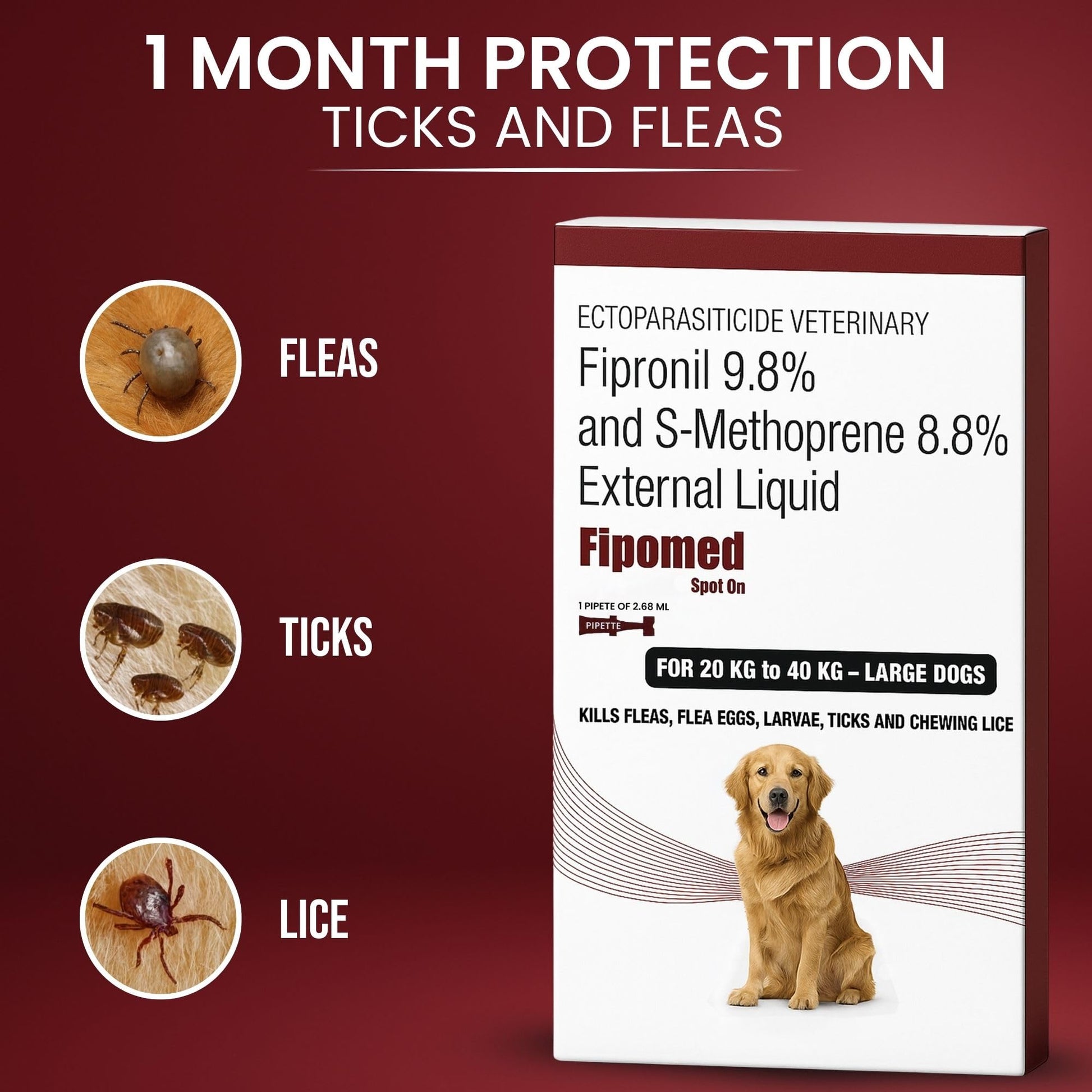 Richpet Spot On for Large Dogs (20 to 40kg), Topical Solution with Protection from Fleas, Ticks & Lice - Richpet StoreRichpet Store