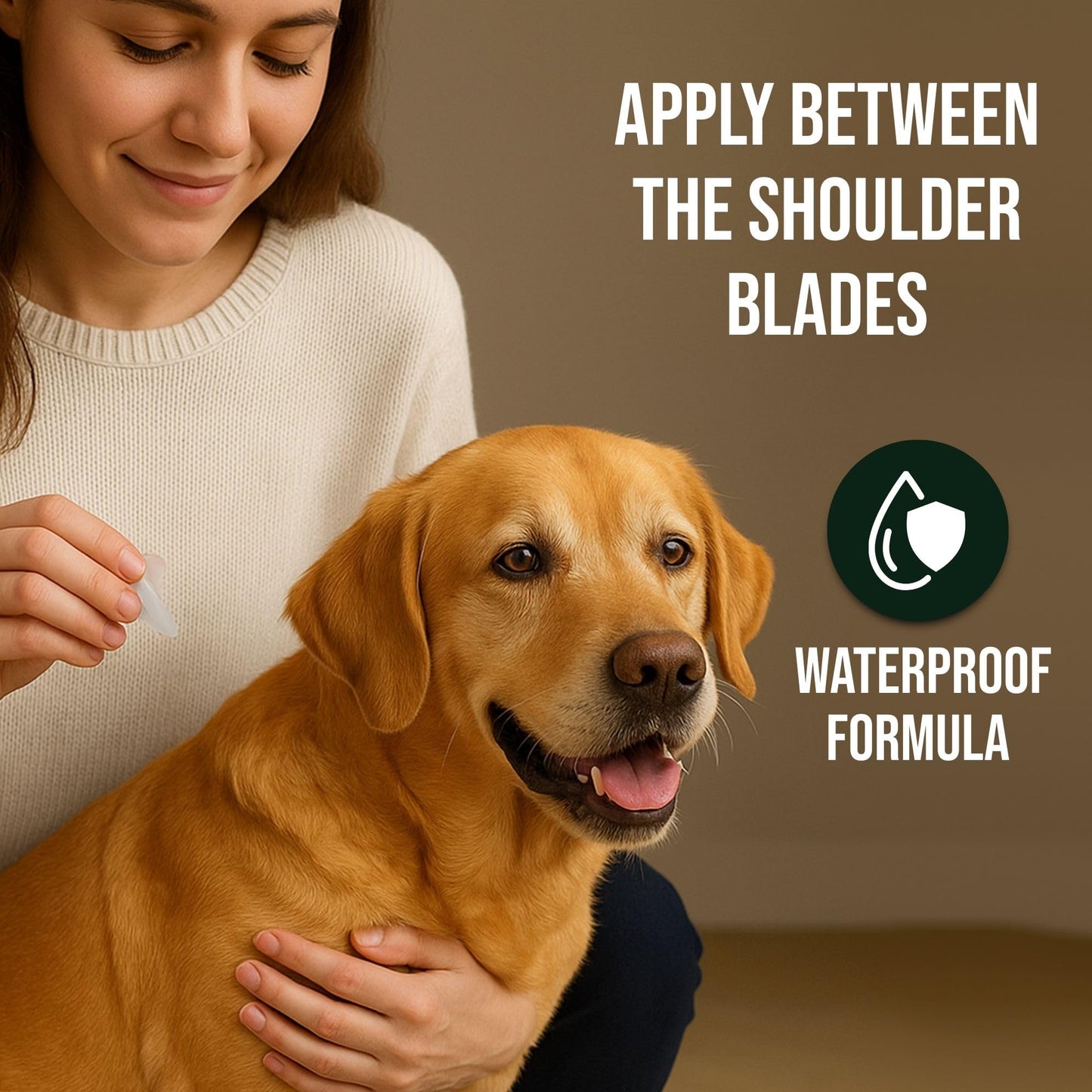 Richpet Spot On for Large Dogs (40 to 60kg), Topical Solution with Protection from Fleas, Ticks & Lice - Richpet StoreRichpet Store