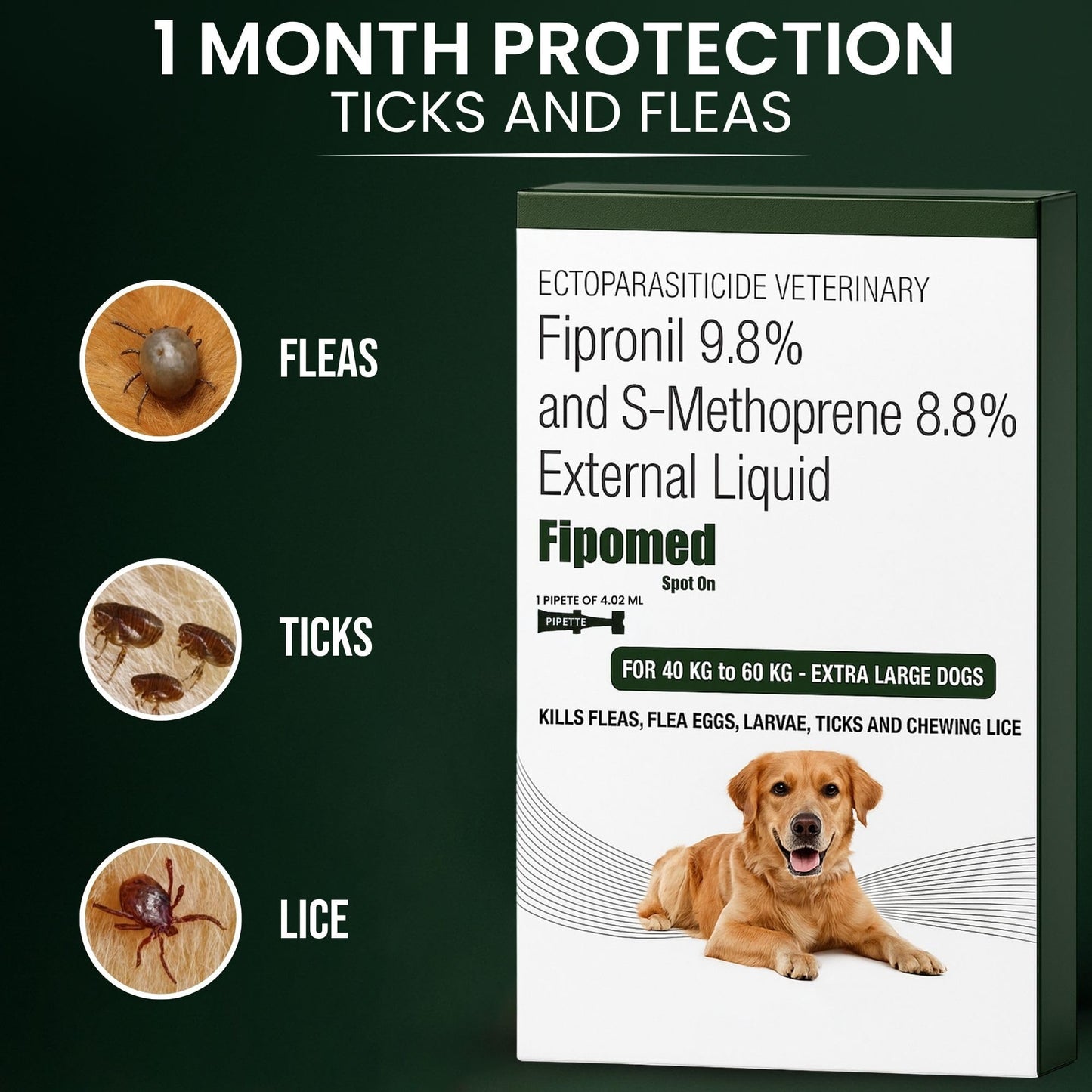Richpet Spot On for Large Dogs (40 to 60kg), Topical Solution with Protection from Fleas, Ticks & Lice - Richpet StoreRichpet Store