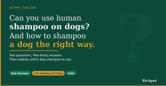Can You Use Human Shampoo on Dogs? And How to Shampoo a Dog Right. - Richpet Store