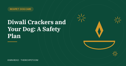 Diwali crackers and your dog, a safety plan, Richpet