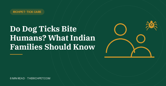 Do dog ticks bite humans, what Indian families should know, Richpet