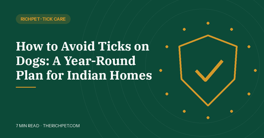 How to Avoid Ticks on Dogs: A Year-Round Plan for Indian Homes - Richpet Store