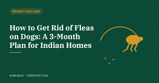 How to Get Rid of Fleas on Dogs: A 3-Month Plan for Indian Homes - Richpet Store