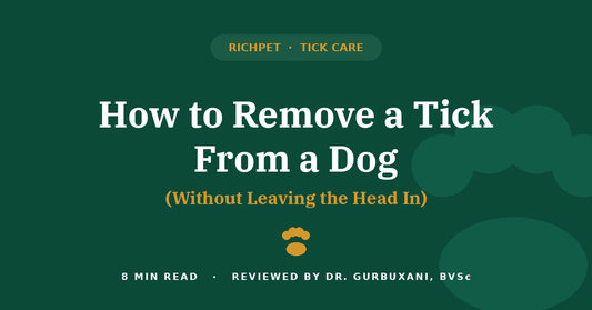 How to Remove a Tick From a Dog (Without Leaving the Head In) - Richpet Store