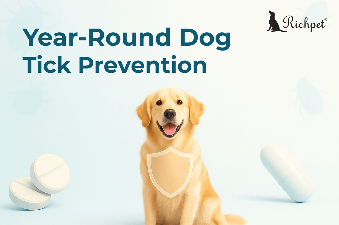 The Ultimate 2025 Guide to Year-Round Dog Tick Prevention - Richpet Store