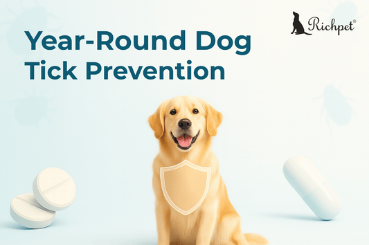 The Ultimate 2025 Guide to Year-Round Dog Tick Prevention - Richpet Store