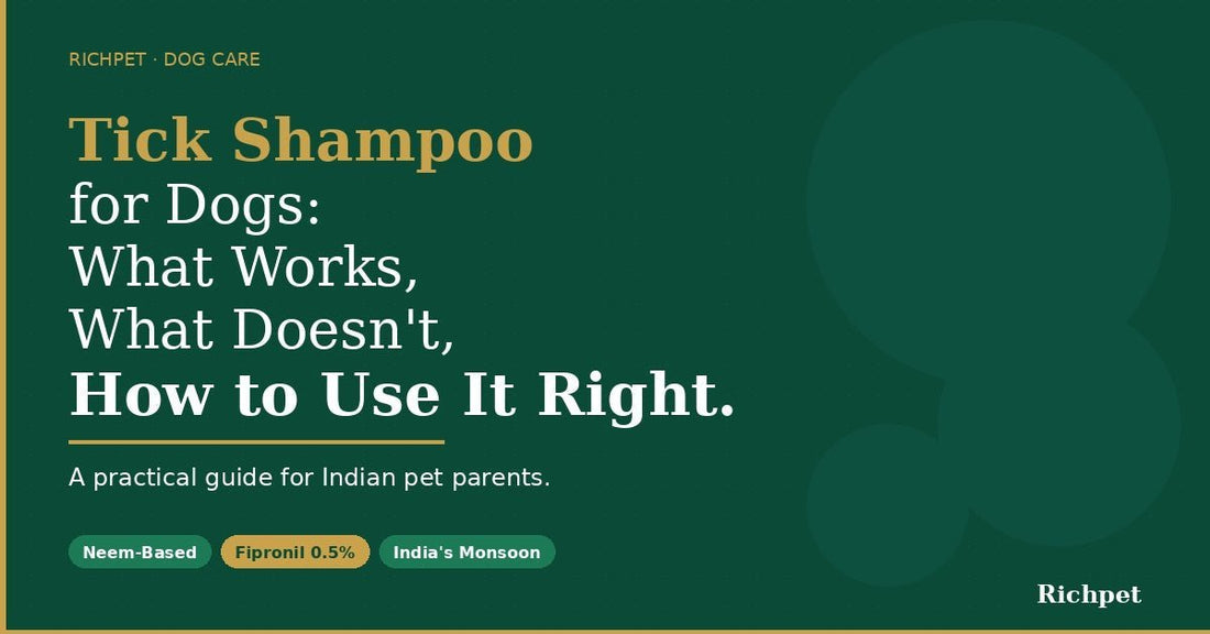 Tick Shampoo for Dogs: What Works, What Doesn't, and How to Use It Right - Richpet Store