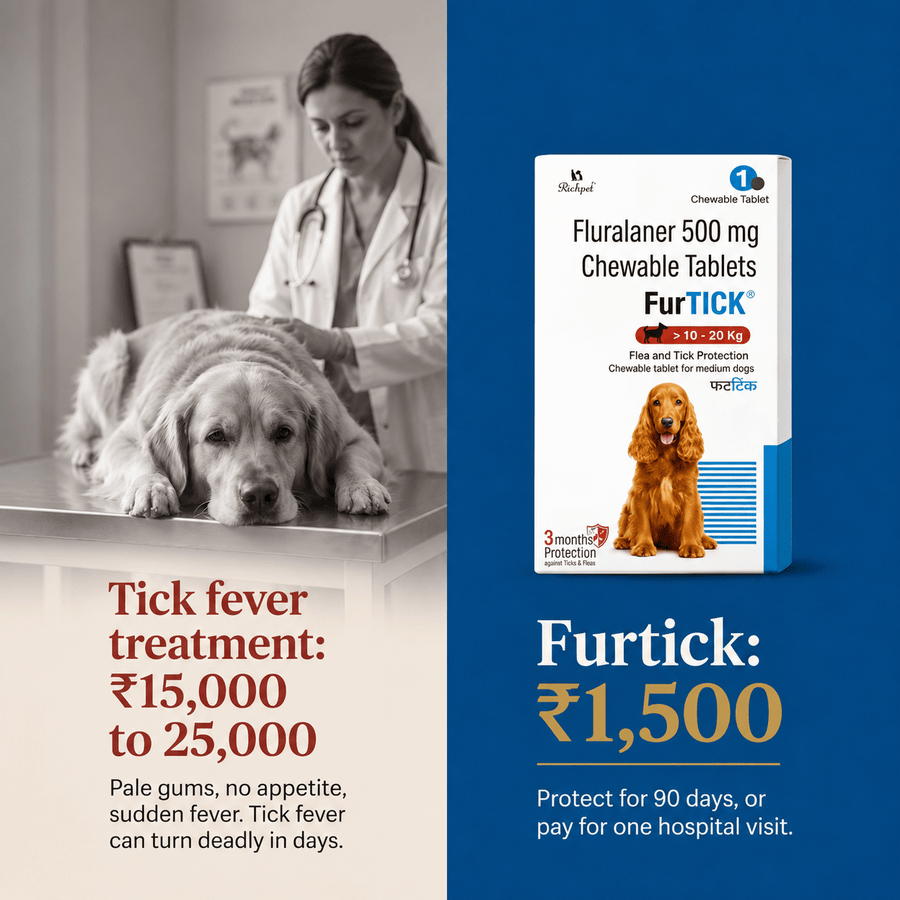 (10-20kg) 90-Day Tick & Flea Protection Chew - Richpet StoreRichpet Store