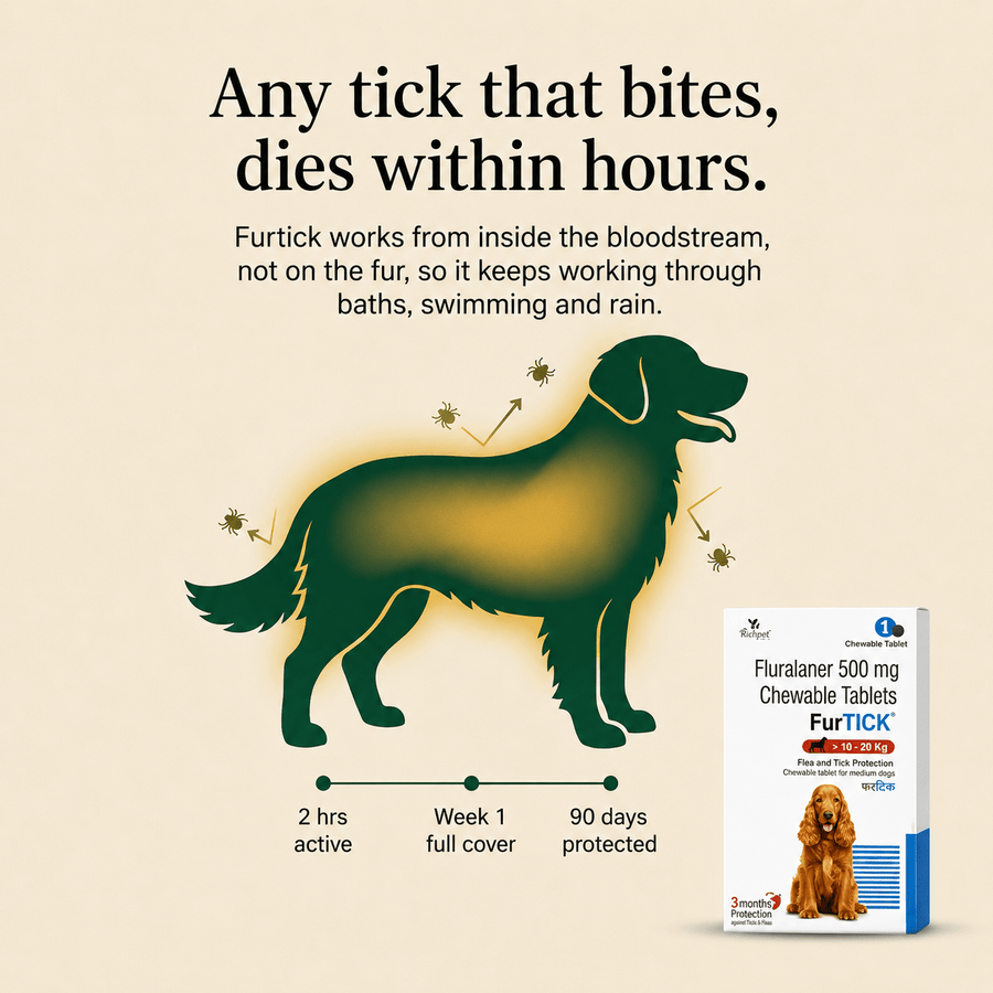 (10-20kg) 90-Day Tick & Flea Protection Chew - Richpet StoreRichpet Store