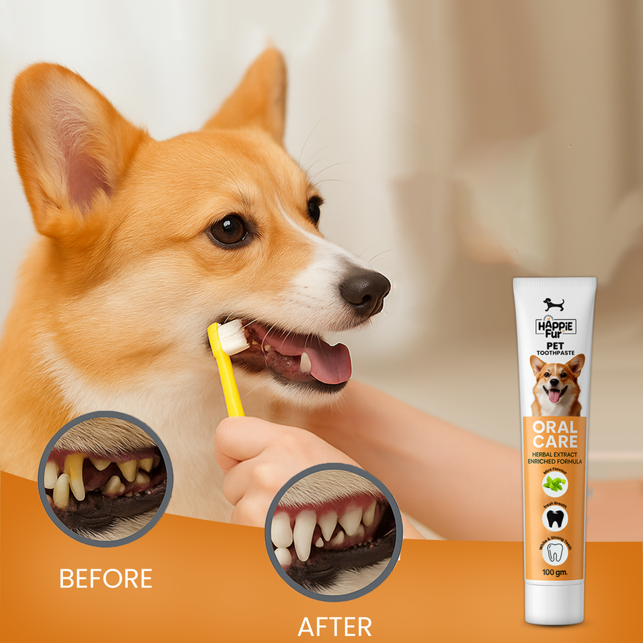 Richpet Herbal Pet Toothpaste for Dogs | Mint Flavour | Fights Bad Breath & Supports Clean, Strong Teeth | No Rinse Needed (100g)
