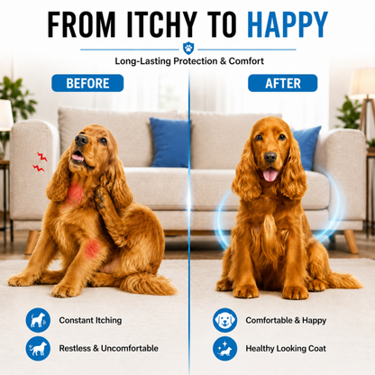 Furtick™ 3-Month Tick Defense -Medium Dog (10-20kg)