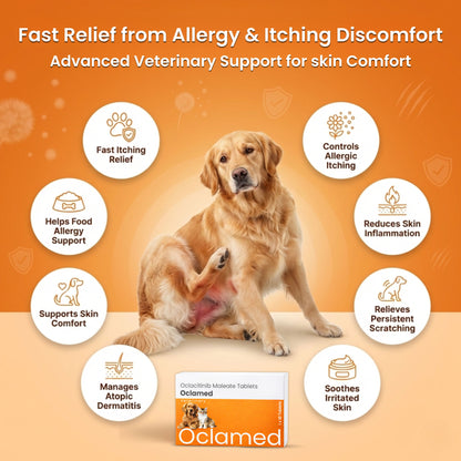 Richpet Oclamed Oclacitinib Tablets for Dogs 5.4 mg – Allergy & Itch Support