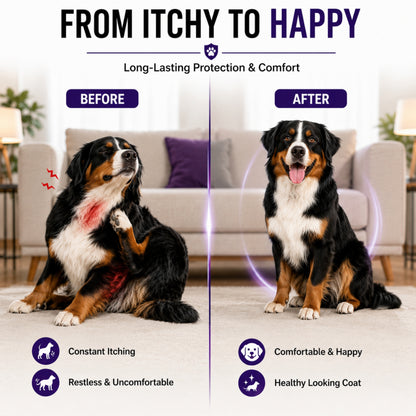 Furtick™ 3-Month Tick Defense - Extra Large Dog (40-60kg)