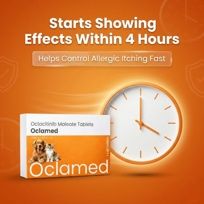 Richpet Oclamed Oclacitinib Tablets for Dogs 5.4 mg – Allergy & Itch Support